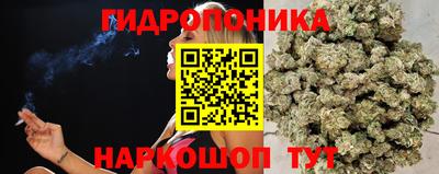 МДПВ Мариинск