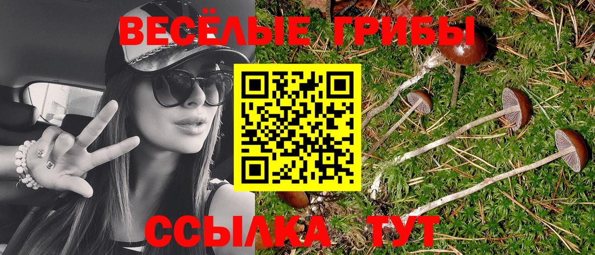 Энгельс  Псилоцибиновые грибы Cubensis  Вход с VPN  Галлюциногенные грибы Magic Shrooms 